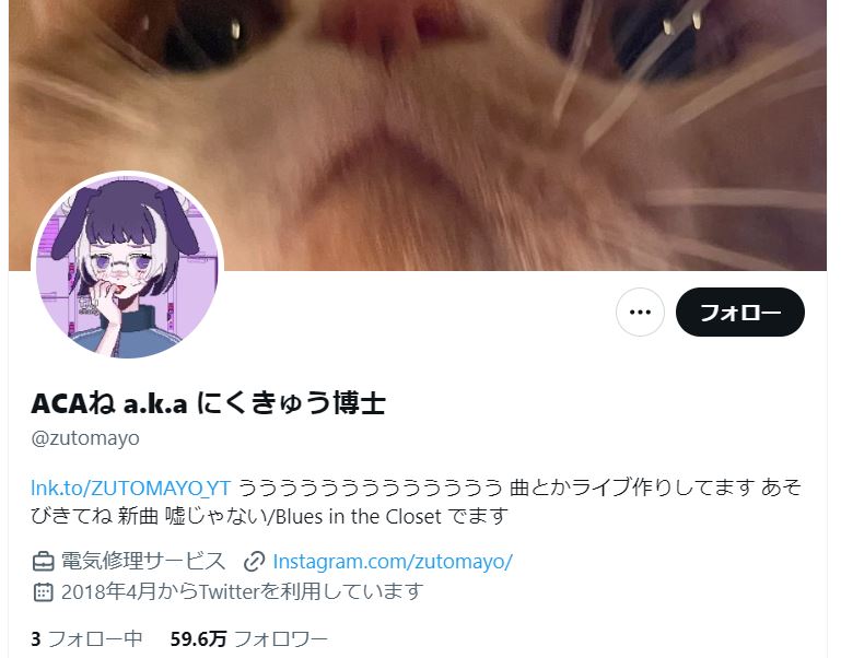 ずっと真夜中でいいのに　猫　その１